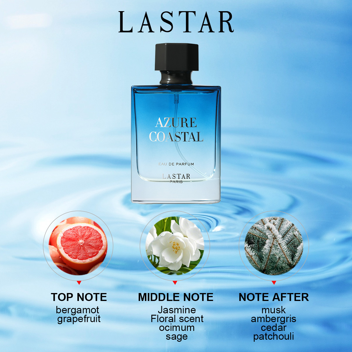 라스타 남성 향수, 2병 총 100ml/3.38fl.o - Home Fragrance Gift 리뷰 및 가격